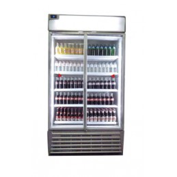 VITRINE AVEC PORTES BATTANTES 1100X695X2010